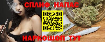 mdpv Новодвинск