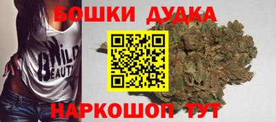 mdpv Новодвинск